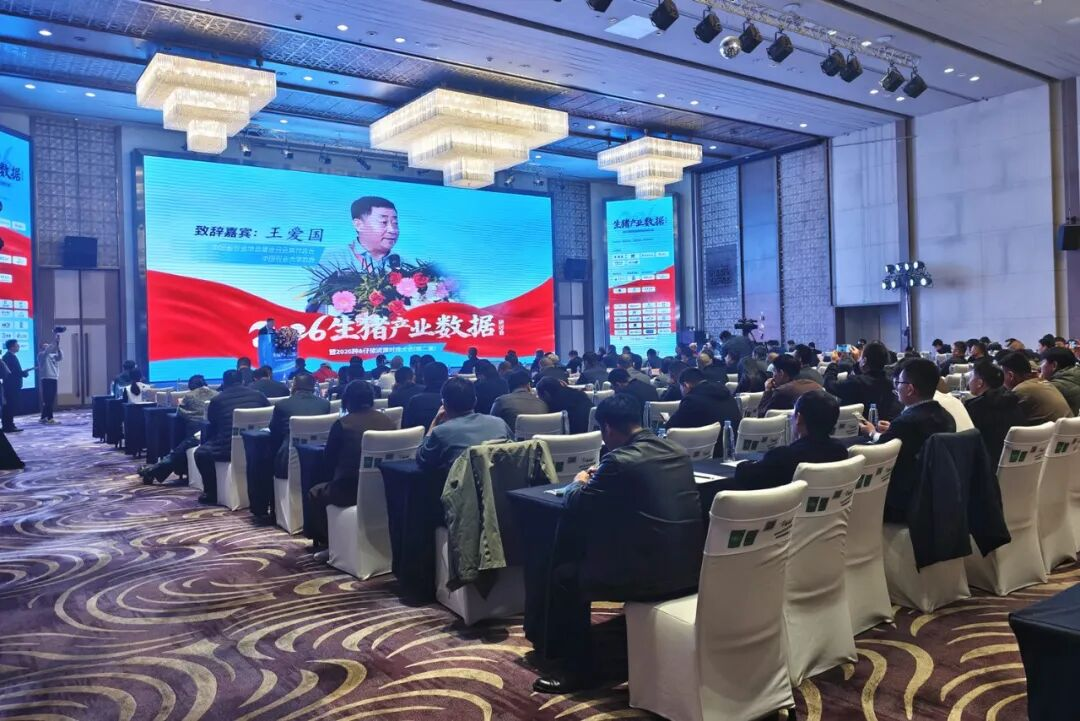  金大众集团“微生态+养猪模式”出彩2026生猪产业数据研讨会